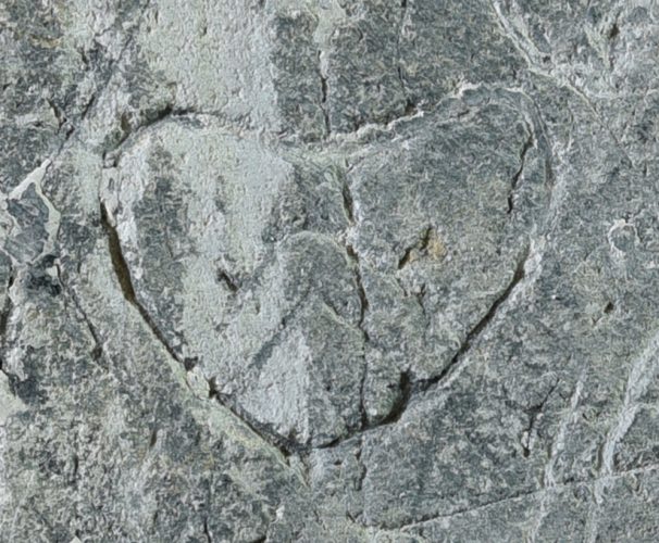 Graffiti de blason en cœur 2