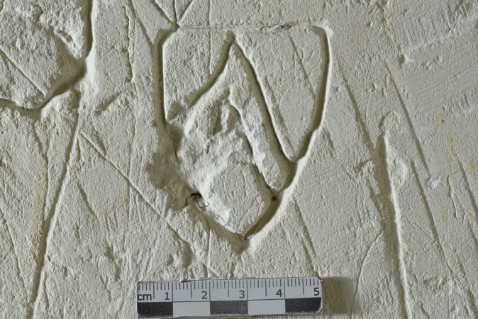Graffiti de blason 1