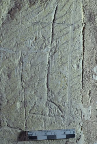 Calvaire 3