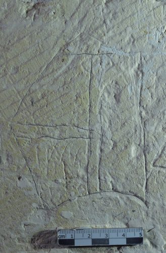 Graffiti de heaume 1