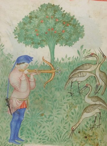 Fig. 1 : chasse à la grue, miniature du XIVe siècle (Paris, BnF, NAL 1673 f.70v).