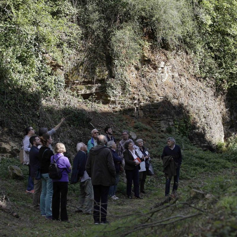 Visite du château